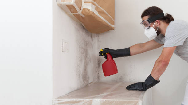 Professional Bathroom Mold Removal technician working in Cliffwood, NJ