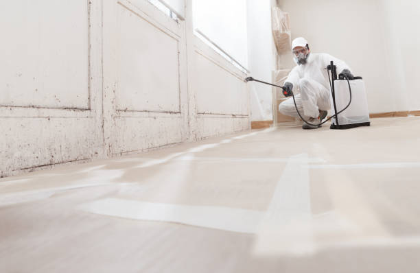 24/7 Emergency Bathroom Mold Removal experts in Cliffwood, NJ